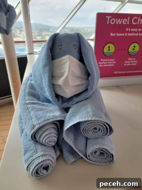 3-Night Royal Caribbean Navigator of the Seas Cruise to Ensenada 3 Blue towel animal elephant