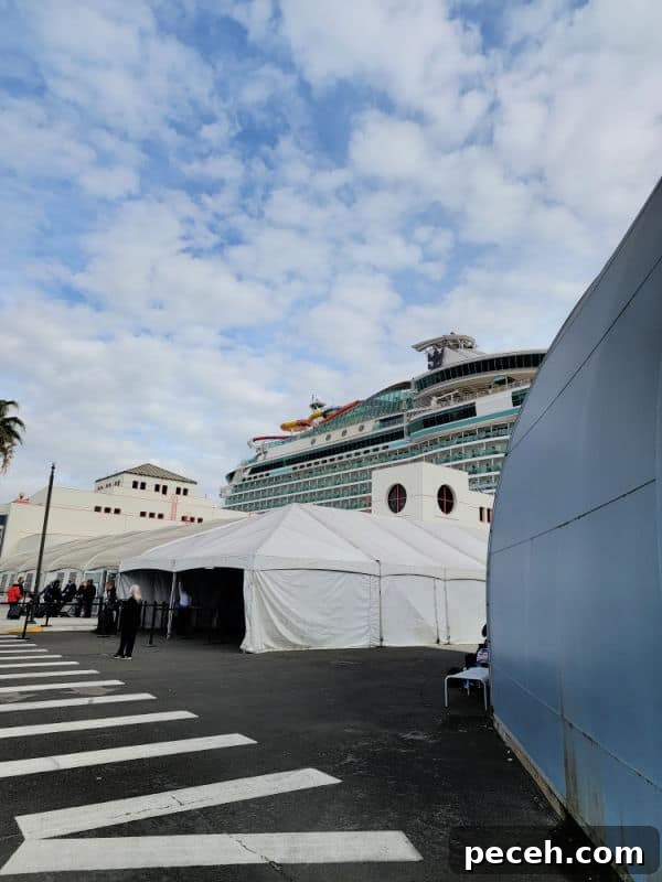 3-Night Royal Caribbean Navigator of the Seas Cruise to Ensenada 4 White tents with people on the dock with the top of a cruise ship behind them.