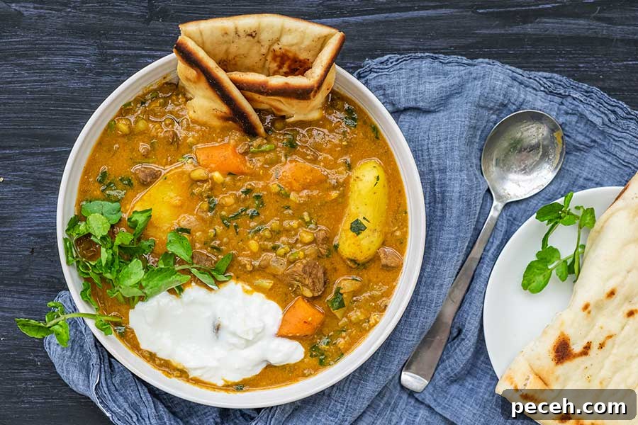 bowl of spiced beef stew with mung beans