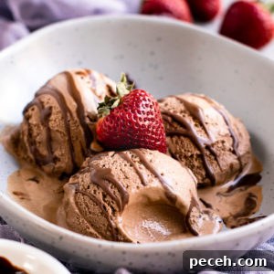 Homemade Chocolate Ice Cream Recipe | Creamy, Rich & Quick 2 chocolate icecream in an icecream maker