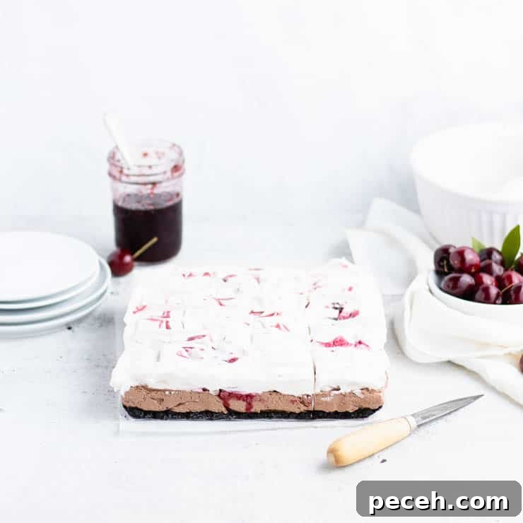 side view of black forest cheesecake with plates, a jar of cherry compote and fresh cherries in the background.