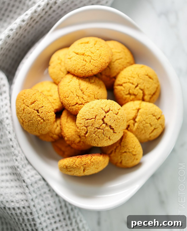 Top Fall Foods That Support Weight Loss 13 Roundup Image for Fall Foods for Weight Loss