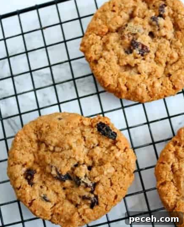 Top Fall Foods That Support Weight Loss 5 Roundup Image for Fall Foods for Weight Loss