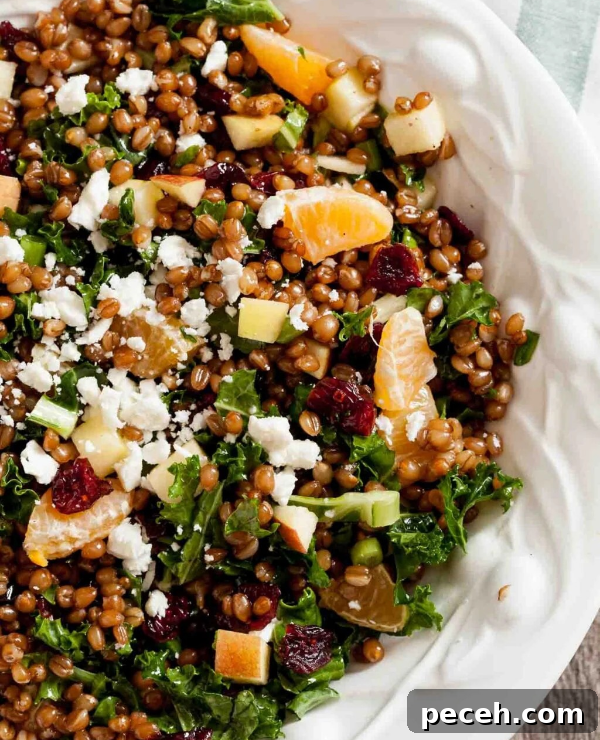 Top Fall Foods That Support Weight Loss 7 Roundup Image