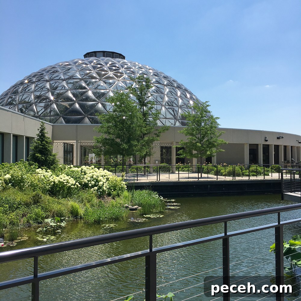 Top-Rated Places to Eat in Des Moines: Local Favorites & Hidden Gems 12 Des Moines Botanical Garden