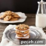 Chocolate Chip Cookies Low Carb