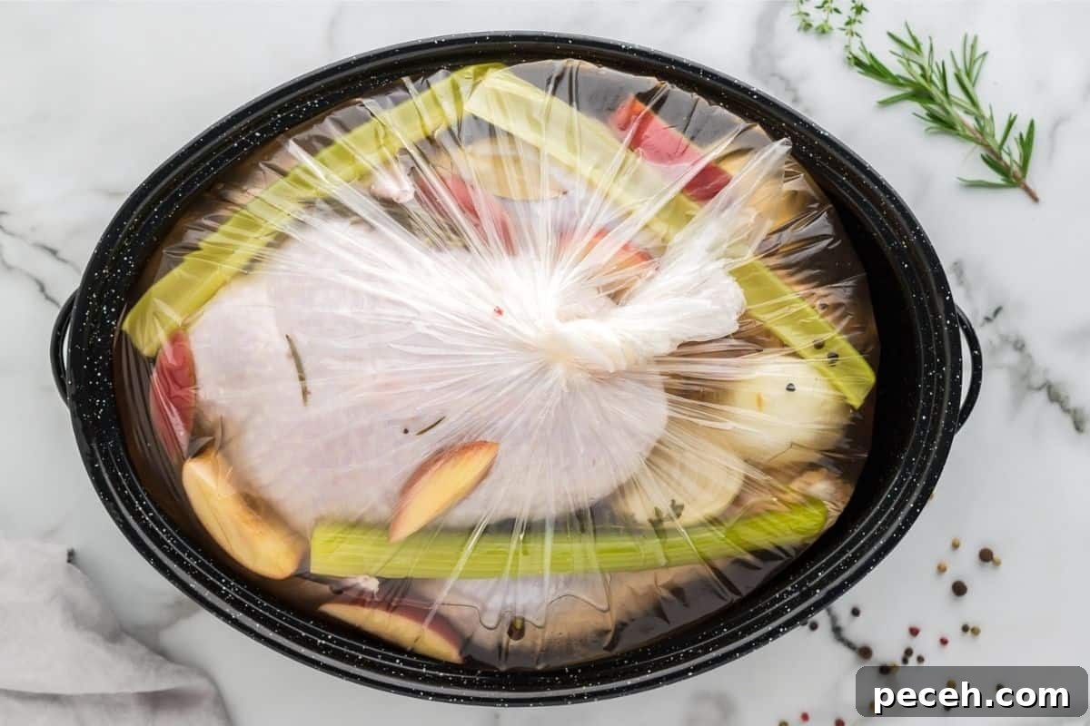 Raw turkey in brine bag along with herbs and onions and brine bag tied tight.