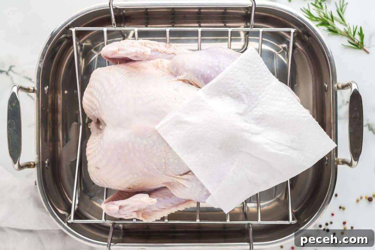 Turkey in roasting pan showing plotting with paper towel to remove excess moisture from wet brine.