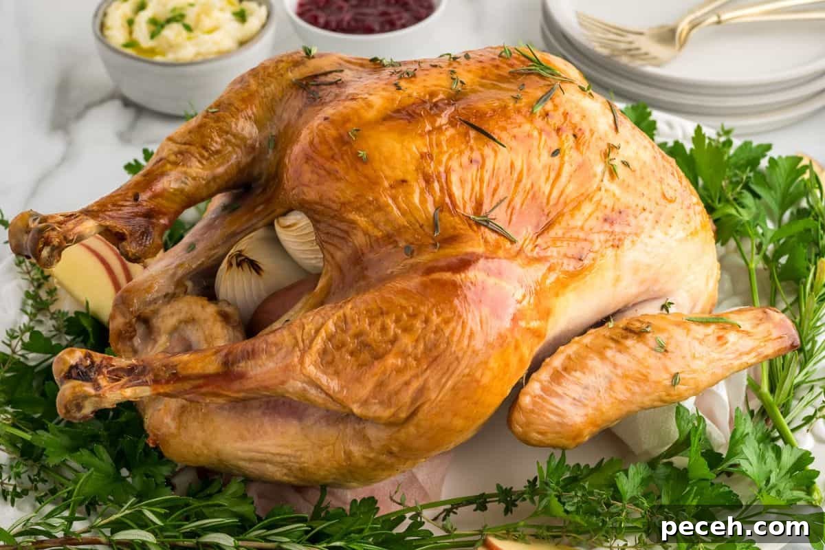 Roasted turkey on white platter served with fresh apple slices on a bed of fresh herbs with mashed potatoes and cranberry sauce in background.