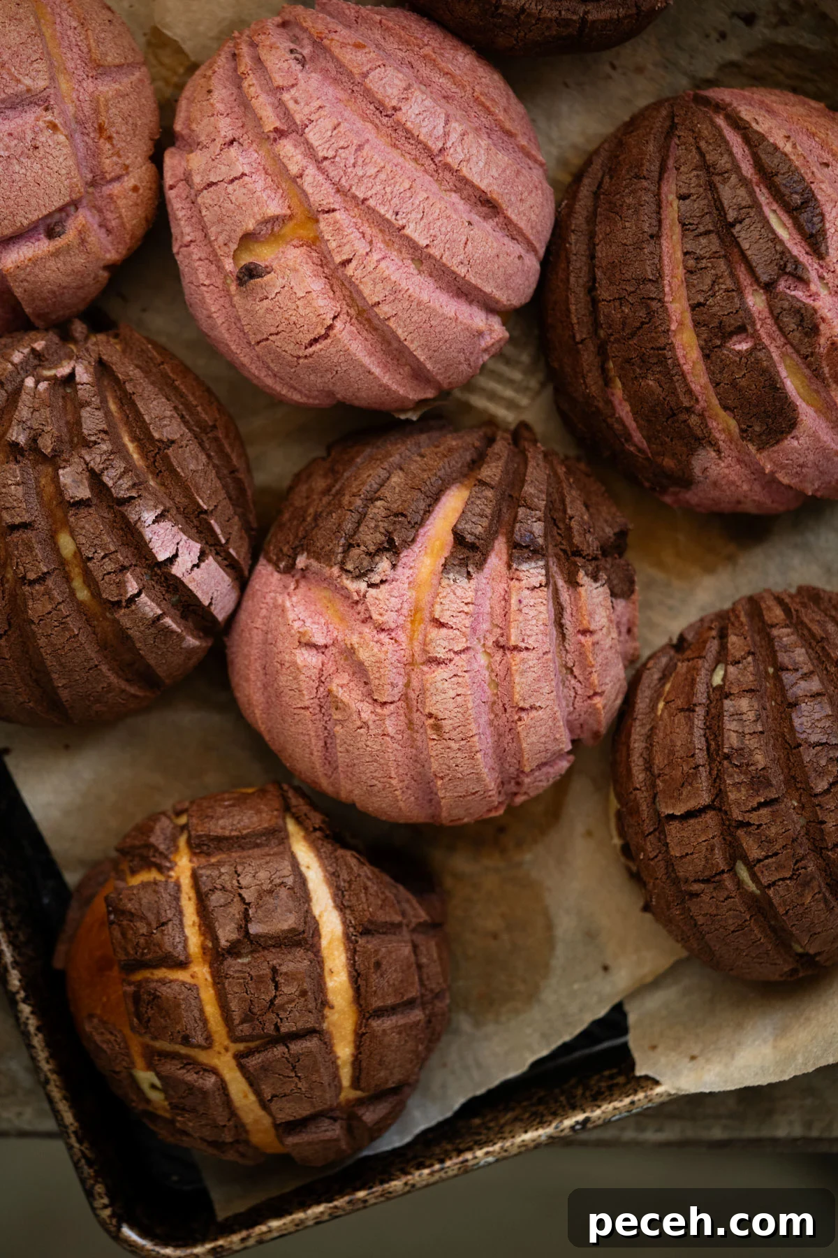 Closeup Mexican sourdough conchas with strawberry and chocolate seashell coatings