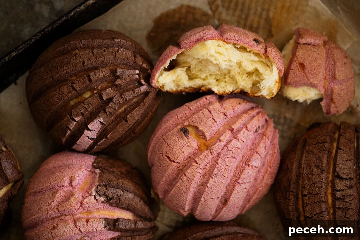 Sourdough Conchas: Authentic Mexican Pan Dulce Recipe 3 Sourdough concha halved to show brioche like buttery crumb