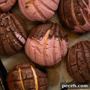 Sourdough Conchas: Authentic Mexican Pan Dulce Recipe 4 Closeup Mexican sourdough conchas with strawberry and chocolate seashell coatings