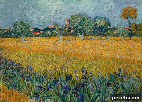 Vincent van Gogh - Field With Flowers Near Arles Field With Flowers Near Arles by Vincent van Gogh