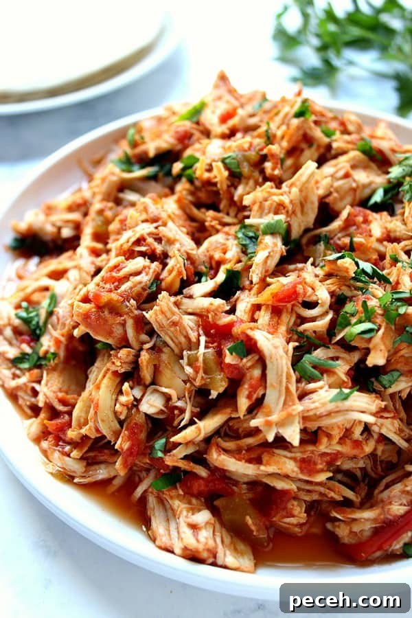 Mexican Chicken on a plate.