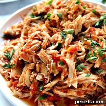 Mexican chicken on a plate.