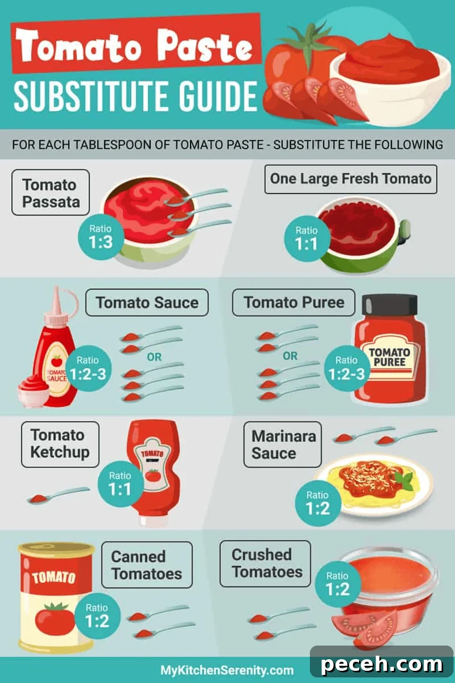 14 Tomato Paste Substitutes and Exact Ratios for Cooking 3 img 17864 2