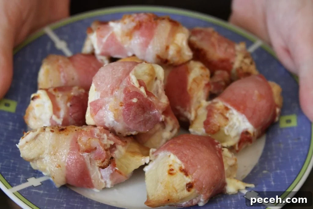 21 High-Protein, Low-Carb Summer Snacks for Hot Days 19 Air Fryer Chicken Wrapped In Bacon