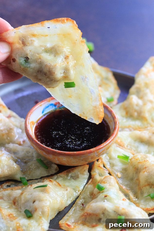 21 High-Protein, Low-Carb Summer Snacks for Hot Days 22 Keto Potstickers
