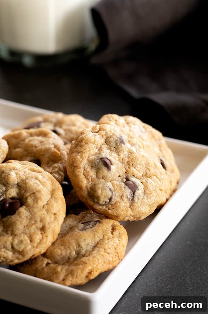 A corner of a white tray with small peanut butter oatmeal chocolate chip cookies on it