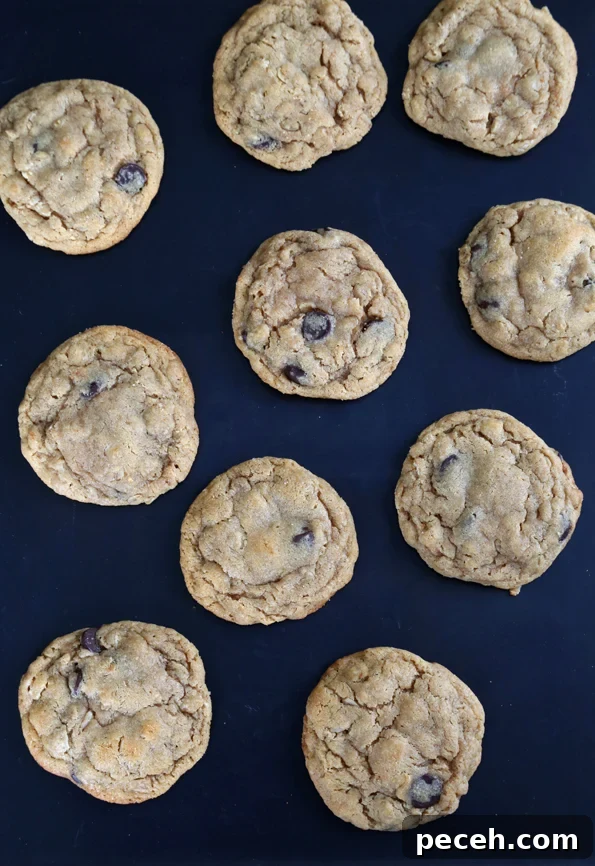 Overhead image of peanut butter oatmeal chocolate chip cookies on a black tray