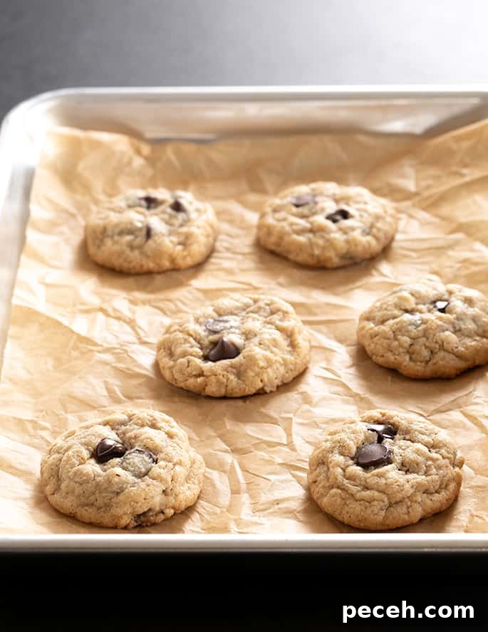 A tray of baked peanut butter oatmeal chocolate chip cookies