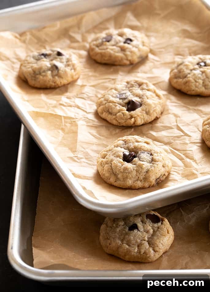 Two trays of peanut butter oatmeal chocolate chip cookies