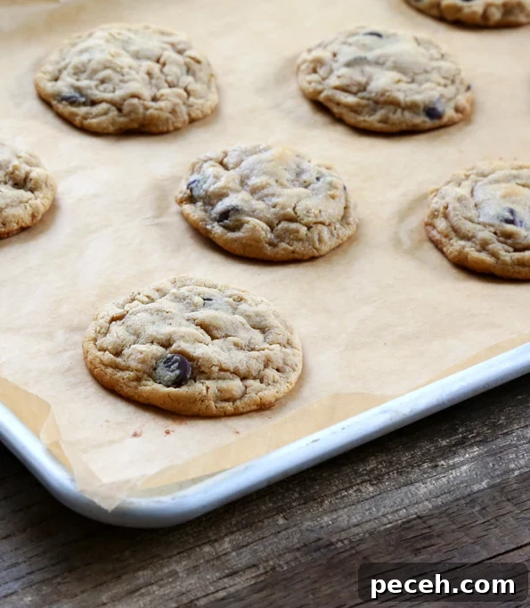 A baking tray with peanut butter oatmeal chocolate chip cookies on a wooden table