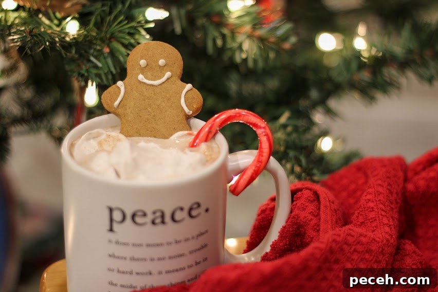 gluten and dairy free hot chocolate