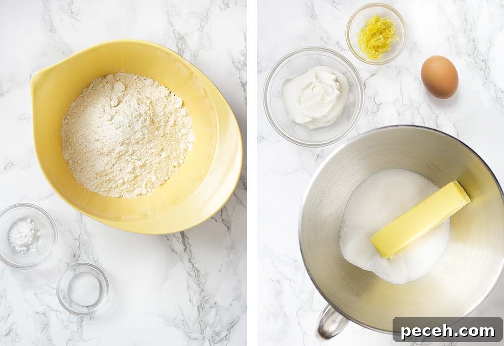 Ingredients to make the recipe.