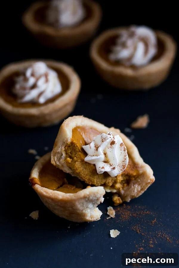 Mini Pumpkin Pies are cute little portions of the beloved Thanksgiving pumpkin pie. Mini Pumpkin Pie cut in half