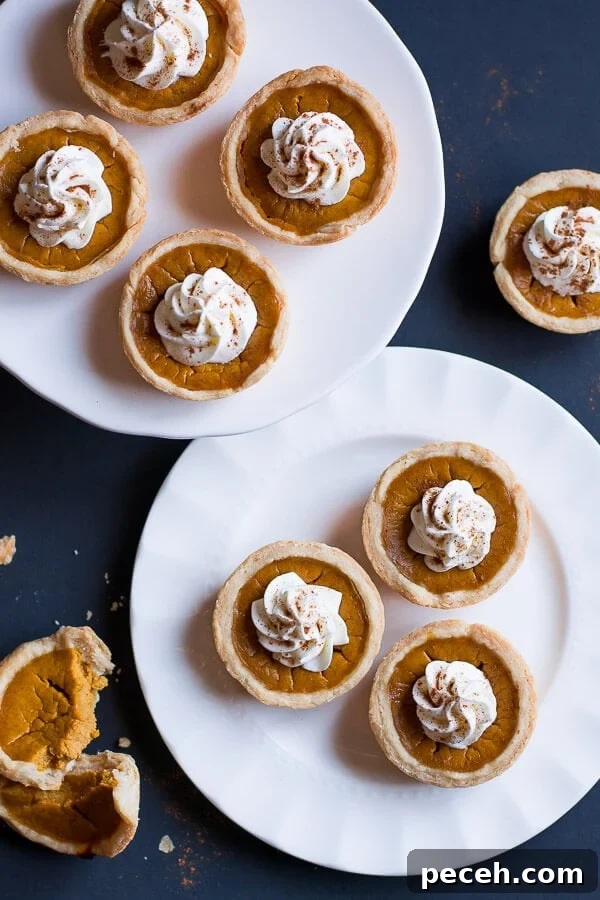 Mini Pumpkin Pies are cute little portions of the beloved Thanksgiving pumpkin pie. two white plates full of Mini Pumpkin Pies