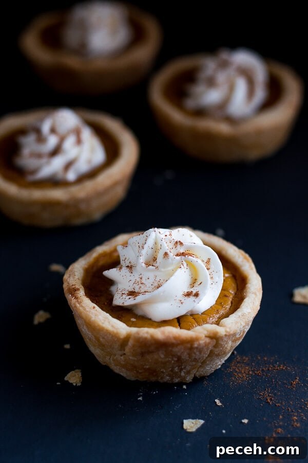 Mini Pumpkin Pies are cute little portions of the beloved Thanksgiving pumpkin pie. Mini Pumpkin Pies garnished with whipped cream on dark surface