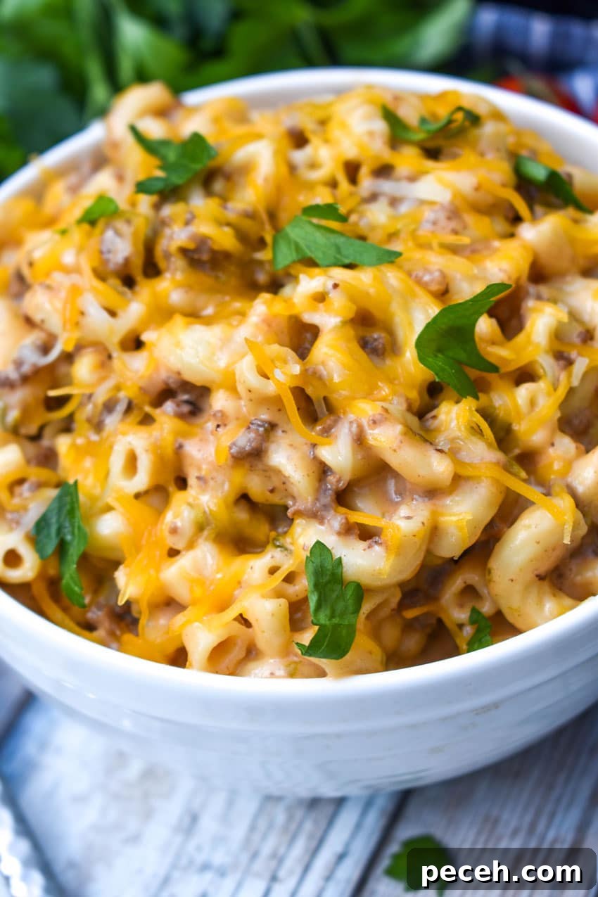 Instant Pot Cheeseburger Macaroni Skillet Recipe 5 instant pot cheeseburger macaroni in a white bowl