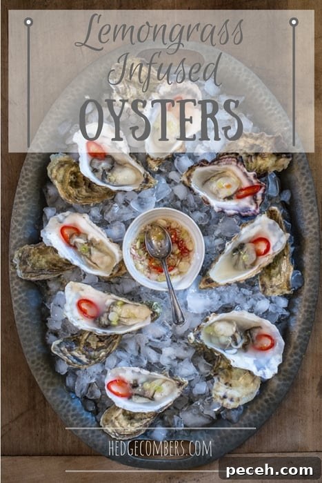 Romantic Date Night Dinner Recipes for Two 4 A tray of Lemongrass Infused Oysters resting on ice