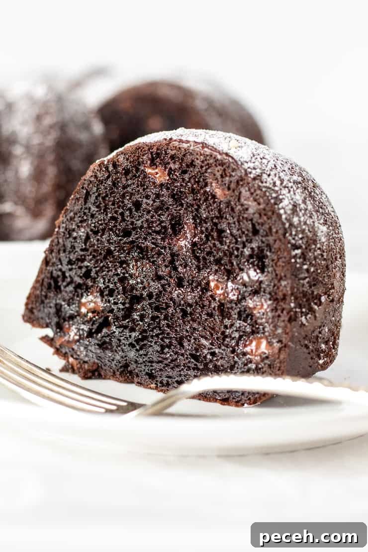 Close up of piece of triple chocolate Bundt cake on plate.