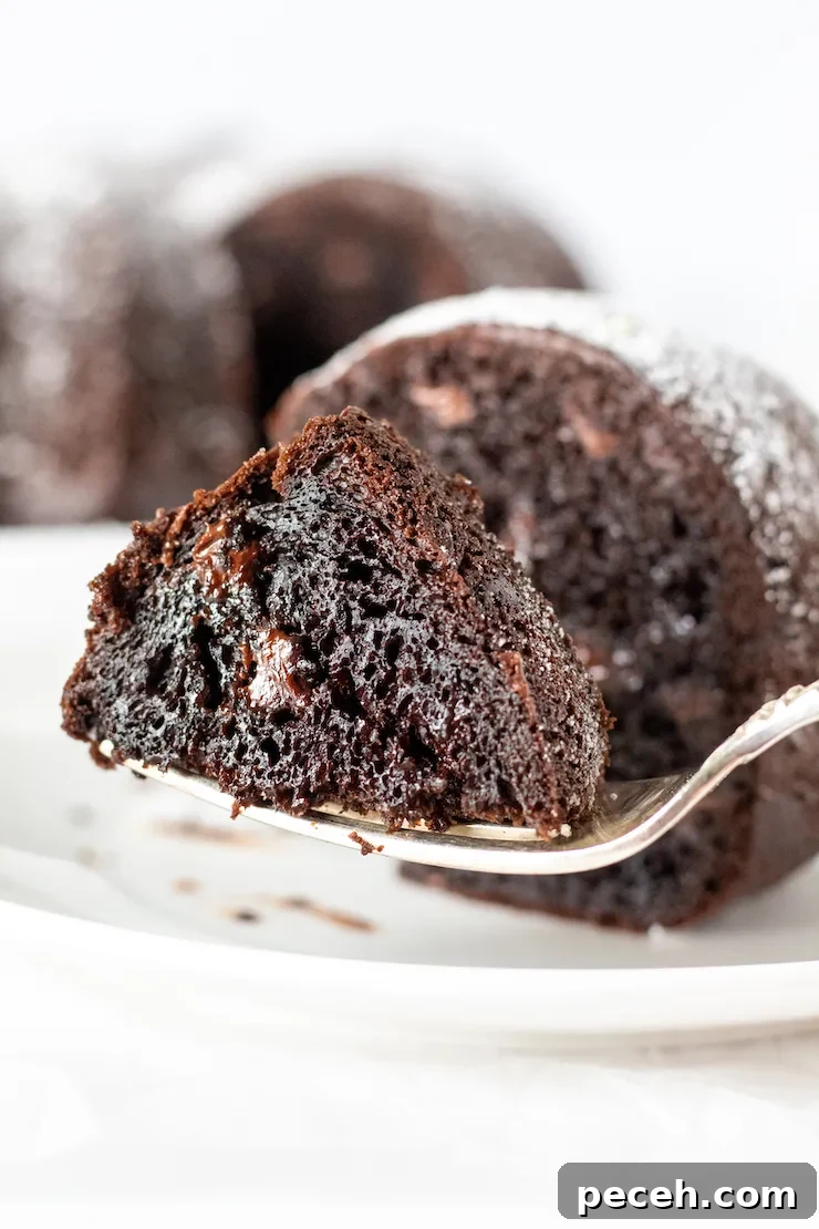 Piece of chocolate cake with forkful on white plate.