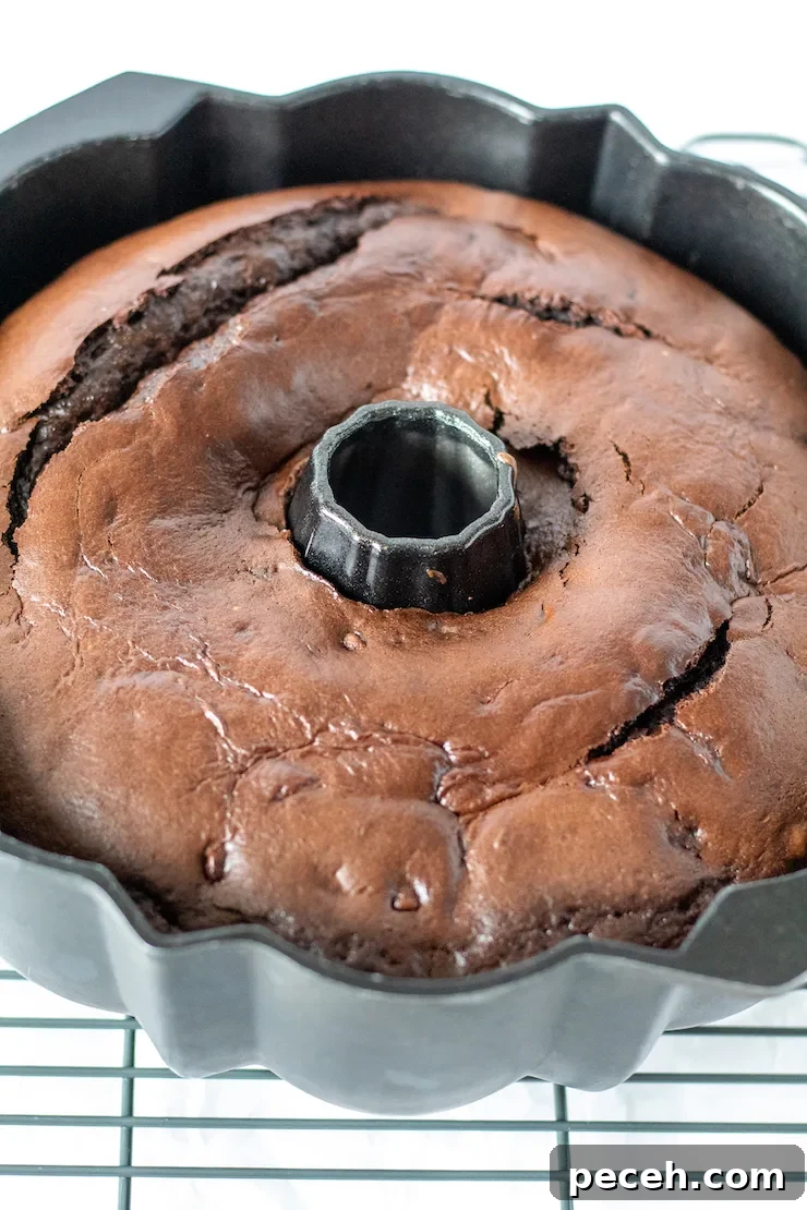 Bundt cake in pan.
