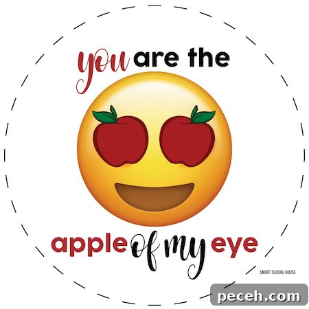 Apple of My Eye: Homemade Applesauce Valentine Recipe 4 You are the APPLE OF MY EYE free Valentine printable for applesauce pouches. Emoji with apple eyes.