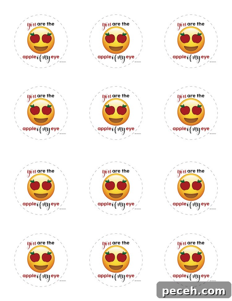 Apple of My Eye: Homemade Applesauce Valentine Recipe 6 You are the APPLE OF MY EYE free Valentine printable for applesauce pouches. Emoji with apple eyes.