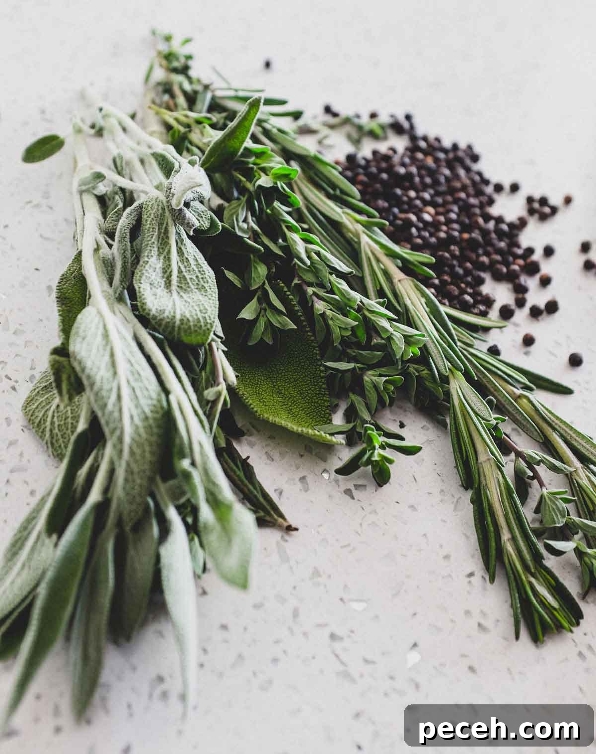 Peposo Alla Fornacina (Tuscan Beef Stew) | cookeatworld.com Fresh herbs for Peposo Alla Fornacina (Tuscan Beef Stew); sage, rosemary and marjoram