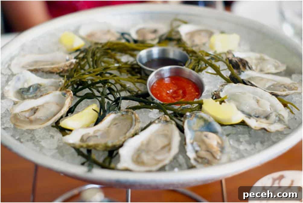 Discover Michigan: Road Trips, Lakes and Outdoor Activities 15 fresh oysters on ice with sauces