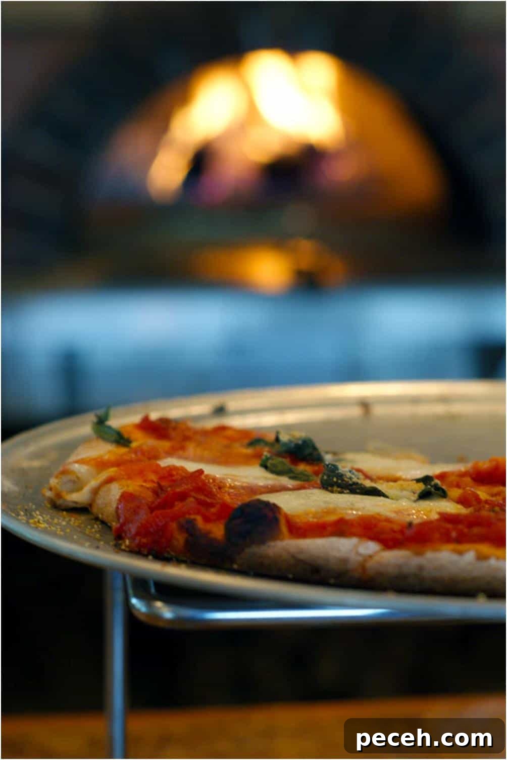 Discover Michigan: Road Trips, Lakes and Outdoor Activities 8 pizza on a rack with a fire behind