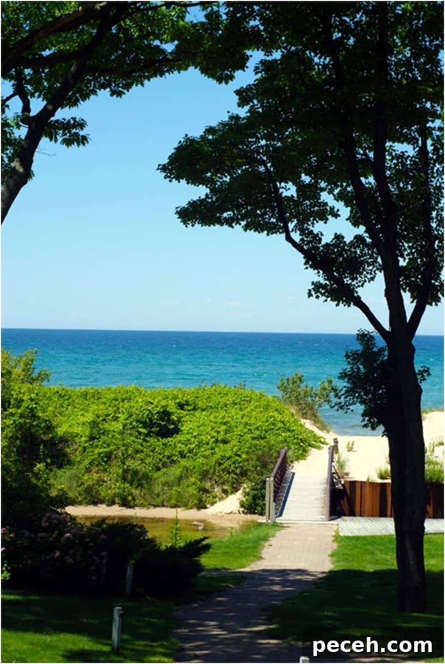Discover Michigan: Road Trips, Lakes and Outdoor Activities 10 lake Michigan and a sandy beach