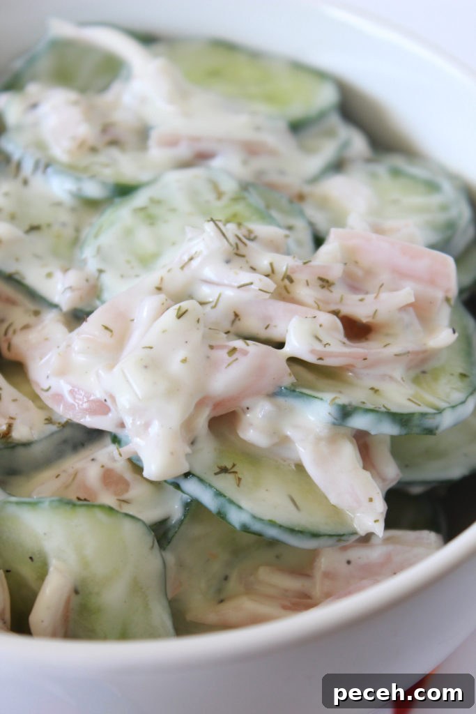 Cucumber Salad with Tangy Pickled Shallots 6 img 2062 5