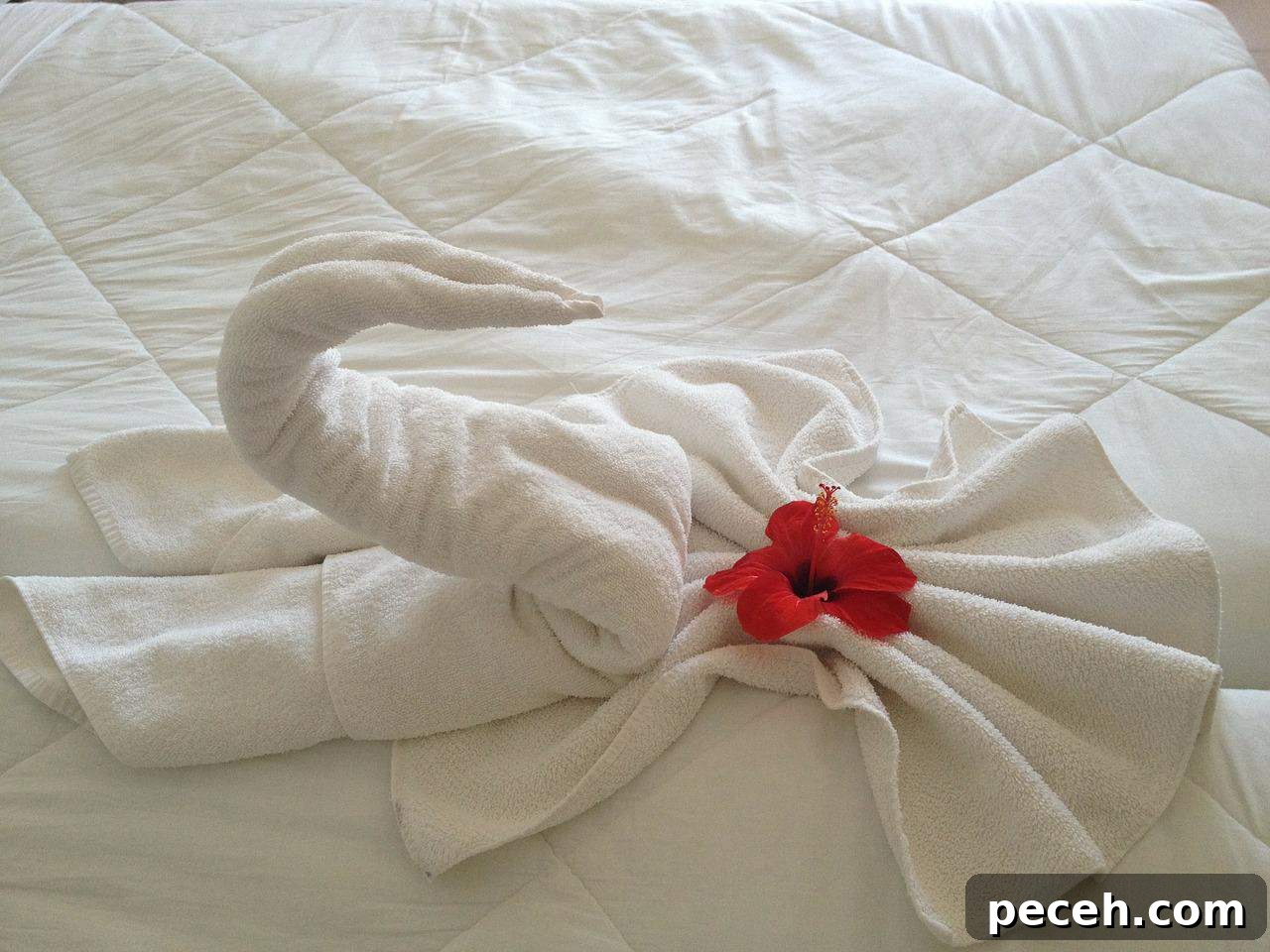 17 Fun and Memorable 13th Birthday Party Ideas 20 White towel swan decoration with red flower on hotel bed.