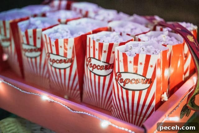 17 Fun and Memorable 13th Birthday Party Ideas 6 A box with several smaller popcorn bags.