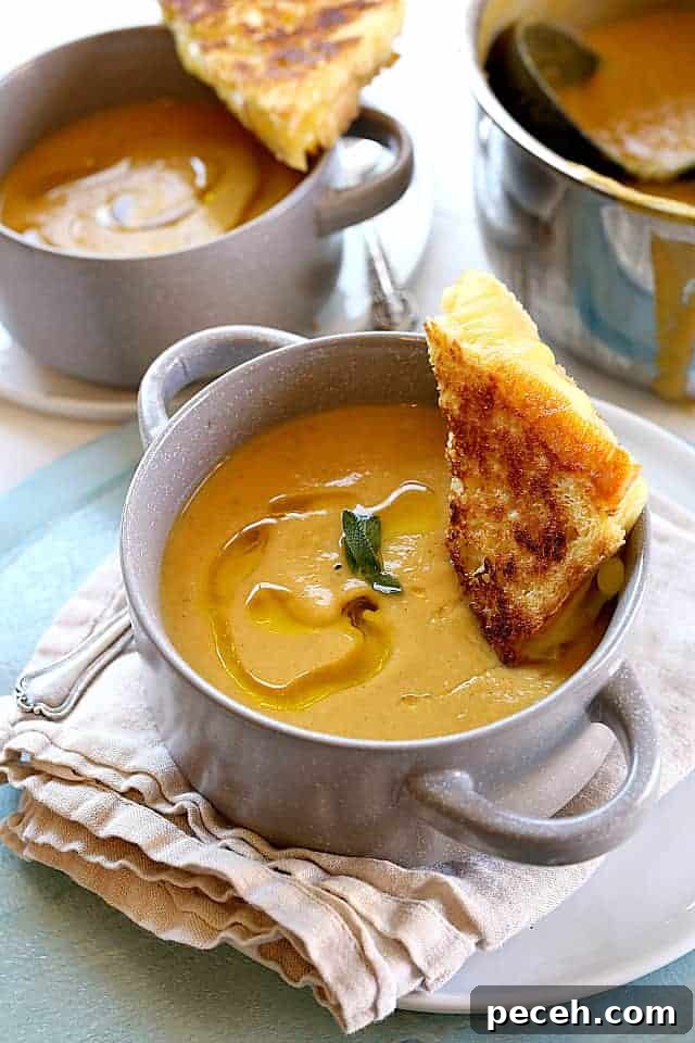 15 Delicious Apple Recipes to Make This Fall 2 Roasted Butternut Squash Apple Soup