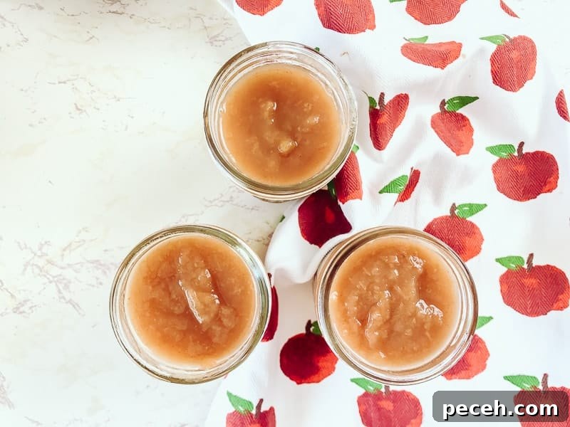 15 Delicious Apple Recipes to Make This Fall 15 Instant Pot Apple Butter