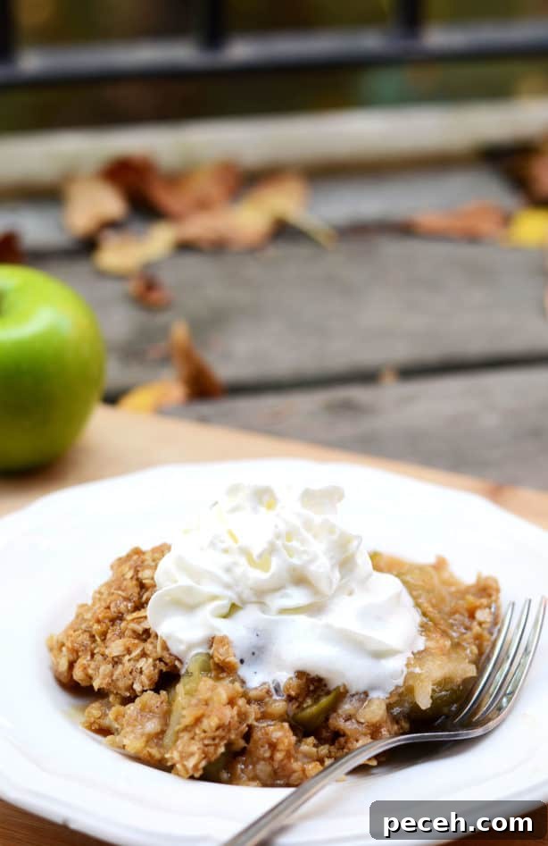 15 Delicious Apple Recipes to Make This Fall 6 Salted Caramel Apple Crisp
