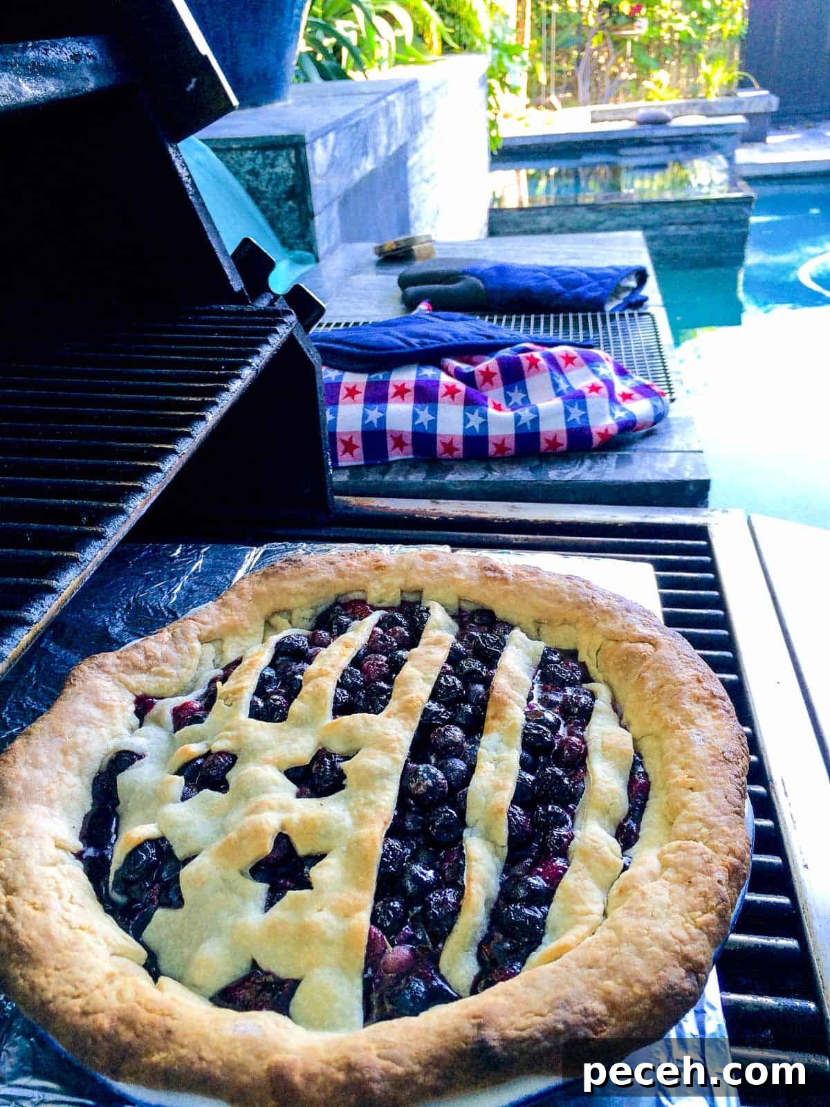 Outdoor Baked Blueberry Pie: Rustic Campfire Recipe 2 Blueberry pie baked on the grill